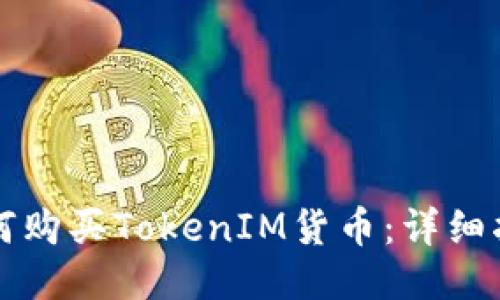 如何购买TokenIM货币:详细指南