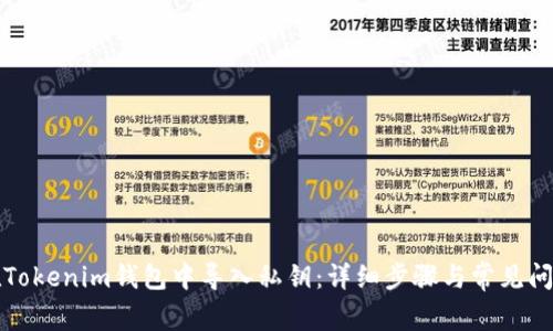 如何在Tokenim钱包中导入私钥：详细步骤与常见问题解答