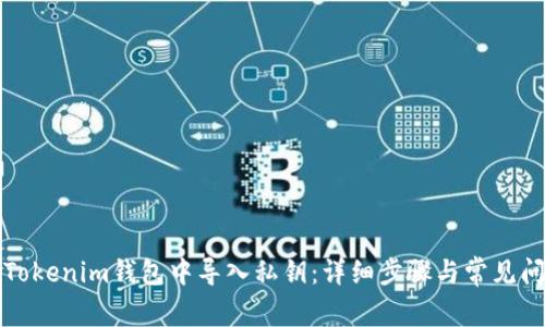 如何在Tokenim钱包中导入私钥：详细步骤与常见问题解答