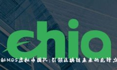 揭秘MDS虚拟币团队：引领区块链未来的先锋力量