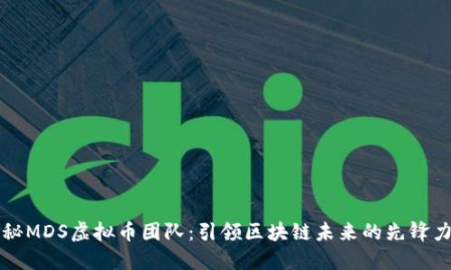 揭秘MDS虚拟币团队：引领区块链未来的先锋力量