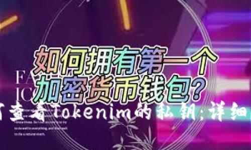 如何查看Tokenim的私钥：详细指南