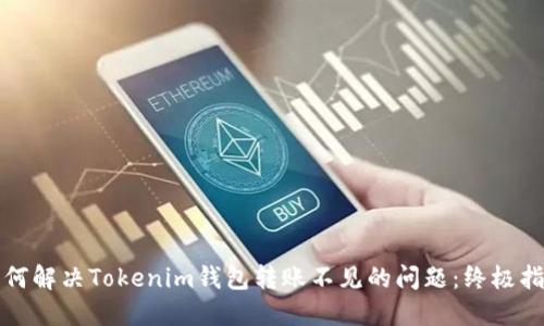 如何解决Tokenim钱包转账不见的问题：终极指南