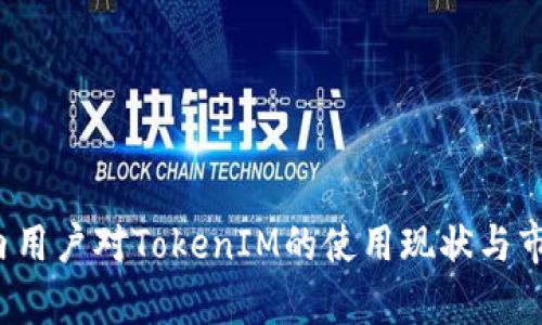 2023年国内用户对TokenIM的使用现状与市场前景分析