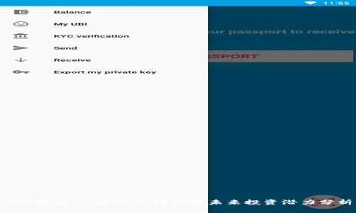 YFV虚拟币：全方位解读及未来投资潜力分析