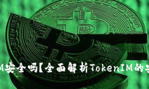 区块链TokenIM安全吗？全面解析TokenIM的安全特性与风险