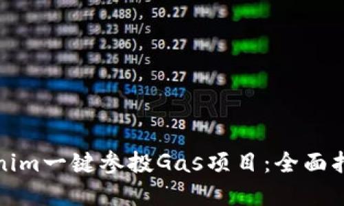 如何使用Tokenim一键参投Gas项目:全面指南与实用建议