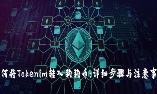 如何将Tokenim转入狗狗币:详细步骤与注意事项