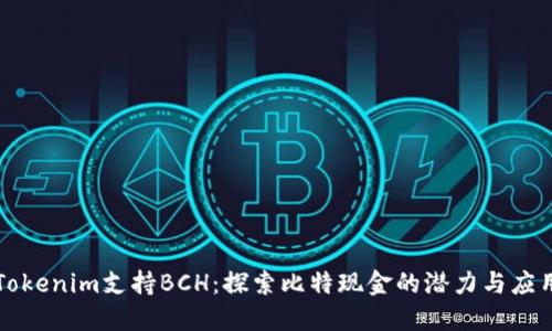 Tokenim支持BCH：探索比特现金的潜力与应用