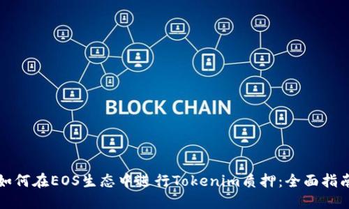 如何在EOS生态中进行Tokenim质押:全面指南