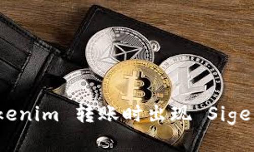 如何解决 Tokenim 转账时出现 Sige 错误的问题？