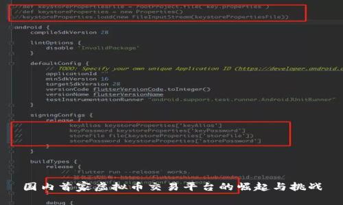 国内首家虚拟币交易平台的崛起与挑战