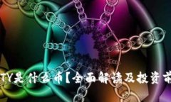 虚拟币TY是什么币？全面解读及投资前景分析