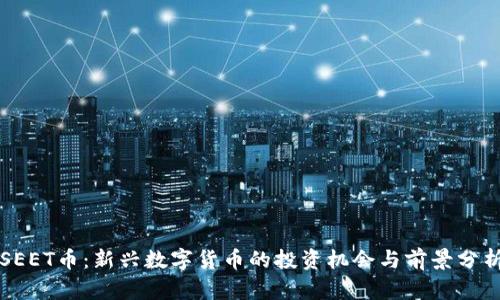 SEET币：新兴数字货币的投资机会与前景分析