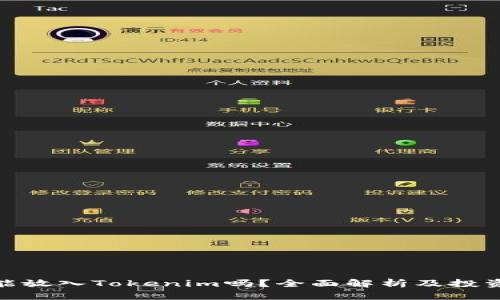 Pi币能放入Tokenim吗？全面解析及投资指南