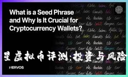 双子星虚拟币评测：投资与风险分析