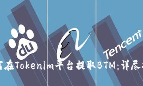 如何在Tokenim平台提取BTM：详尽指南