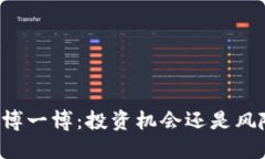 虚拟币博一博：投资机会还是风险陷阱？