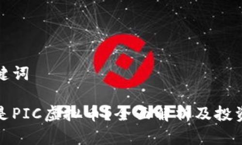 和关键词

什么是PIC虚拟币？全面解析及投资前景