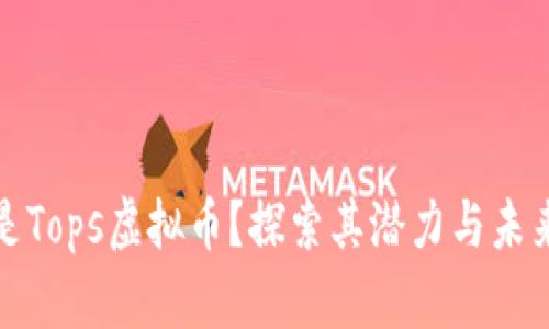 什么是Tops虚拟币？探索其潜力与未来发展