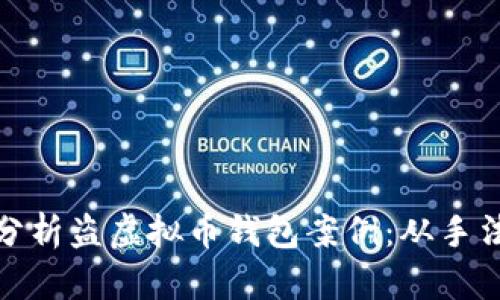 : 深入分析盗虚拟币钱包案例：从手法到防范