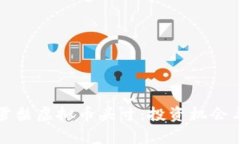 全面解析雪梨虚拟币头寸：投资机会与风险分析