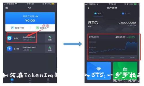 如何在TokenIm钱包中导入BTS:一步步指南