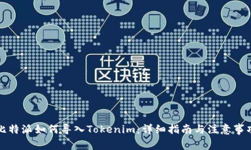 比特派如何导入Tokenim:详细指南与注意事项