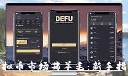   
如何在外围虚拟币市场薅羊毛：新手指南与顶尖策略