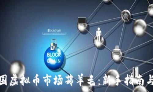   
如何在外围虚拟币市场薅羊毛：新手指南与顶尖策略