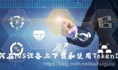 如何在iOS设备上下载和使用TokenIm？