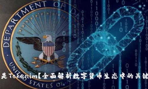 什么是Tokenim?全面解析数字货币生态中的关键角色