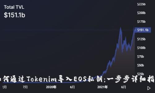 如何通过Tokenim导入EOS私钥：一步步详细指导