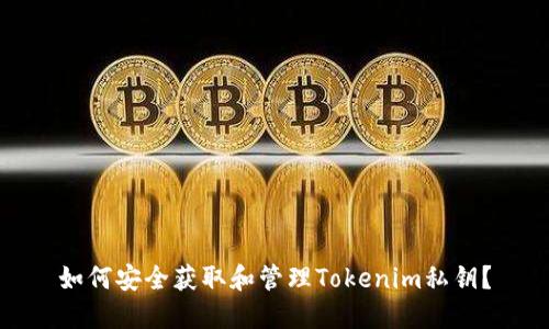 如何安全获取和管理Tokenim私钥?
