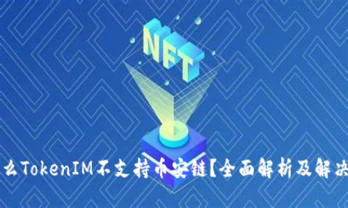 为什么TokenIM不支持币安链?全面解析及解决方案