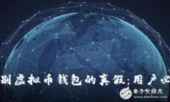 如何辨别虚拟币钱包的真假：用户必读指南