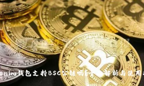 Tokenim钱包支持BSC公链吗？全面解析与使用指南