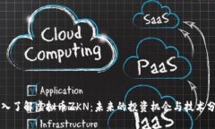 深入了解虚拟币ZKN：未来的投资机会与技术分析