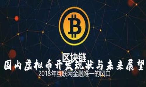 国内虚拟币开发现状与未来展望