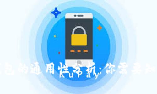 虚拟币钱包的通用性分析：你需要知道的一切