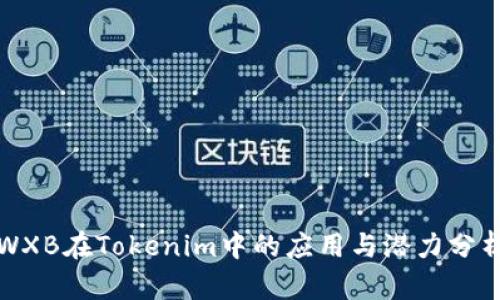 WXB在Tokenim中的应用与潜力分析