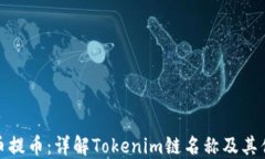 火币提币：详解Tokenim链名称及其优势