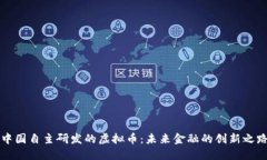 中国自主研发的虚拟币：未来金融的创新之路