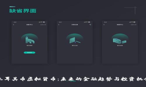 土耳其币虚拟货币：未来的金融趋势与投资机会