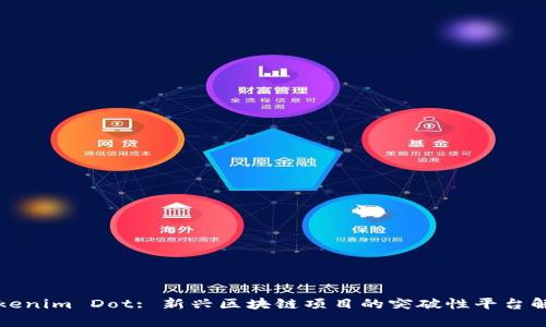 Tokenim Dot: 新兴区块链项目的突破性平台解析