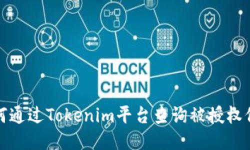 如何通过Tokenim平台查询被授权信息