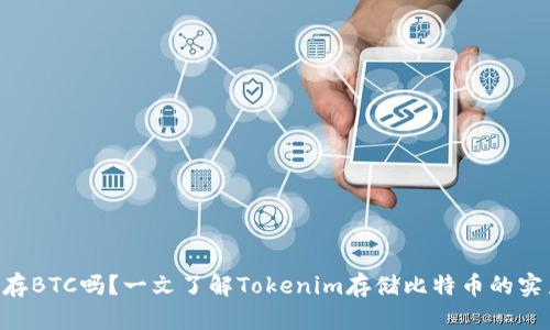 Tokenim能存BTC吗？一文了解Tokenim存储比特币的实力与安全性