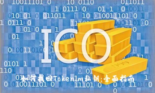 如何找回Tokenim私钥:全面指南