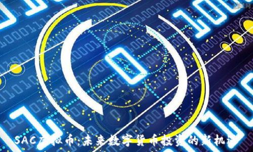   
SAC虚拟币：未来数字货币投资的新机遇