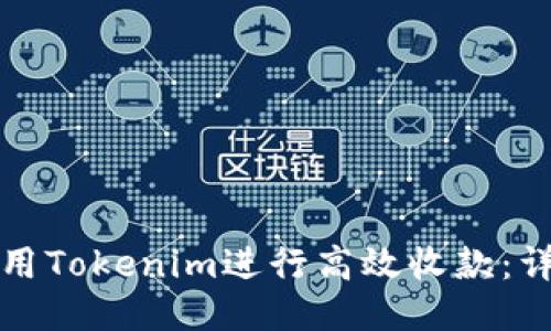 如何使用Tokenim进行高效收款:详细教程